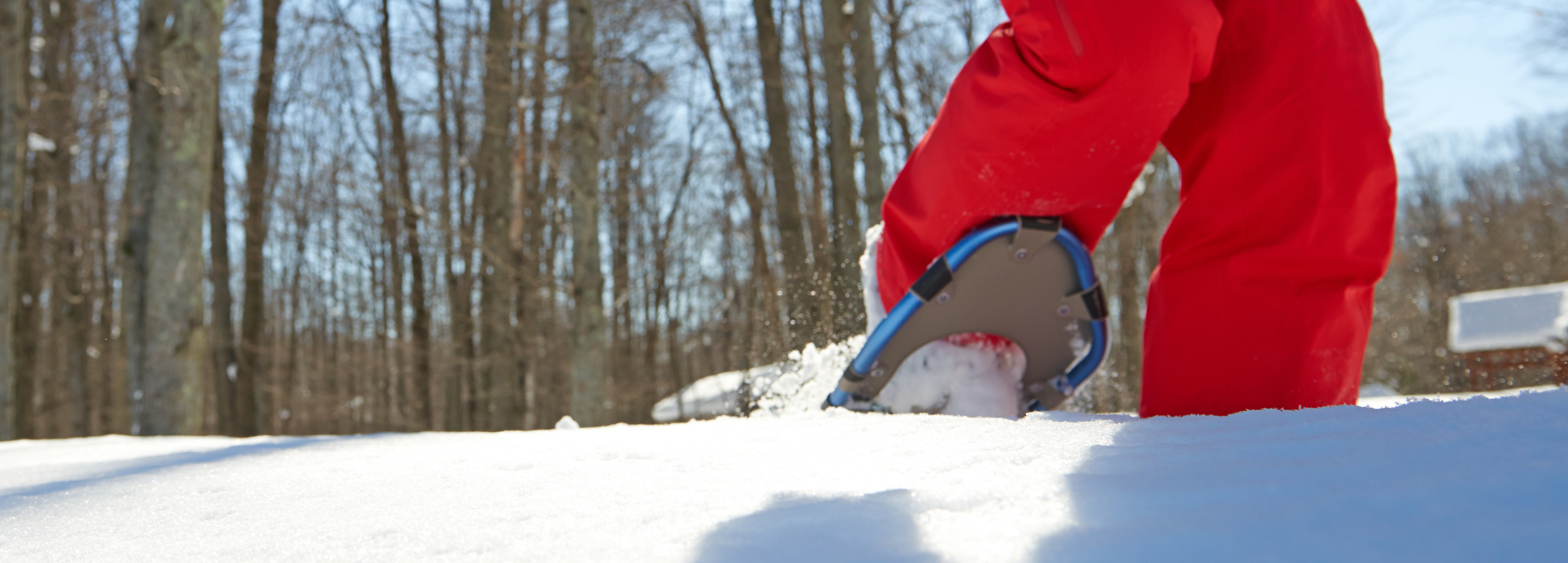 Michigan Legacy Art Park Snowshoe Hike Crystal Mountain Michigan